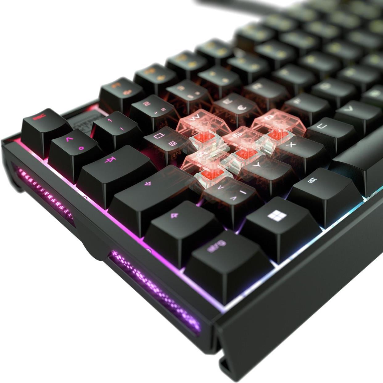 Купить CHERRY XTRFY MX 3.1 - Tastatur - 100% - full size - Hintergrundbeleuchtung - USB-C - QWERTZ - Deutsch - Tastenschalter: CHERRY MX2A Red - Schwarz (G80-3890LJADE-2) в магазине wardena.ru