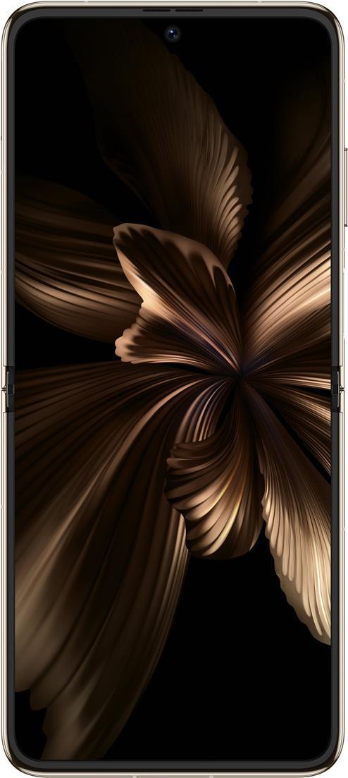 Купить Huawei P50 Pocket - Premium Edition - 4G Smartphone - Dual-SIM - RAM 12 GB / Internal Memory 512 GB - OLED-Display - 6.9" - 2790 x 1188 Pixel (120 Hz) - Triple-Kamera 40 MP, 32 MP, 13 MP - front camera 10,7 MP - Premium- (51096WVB) в магазине wardena.ru