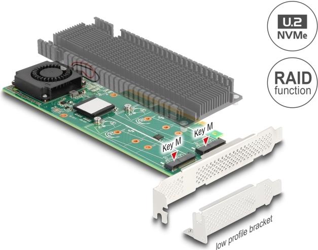 Купить Delock PCI Express x8 Karte zu 2 x intern NVMe M.2 Key M mit RAID - Low Profile - NVMe (90123) в магазине wardena.ru