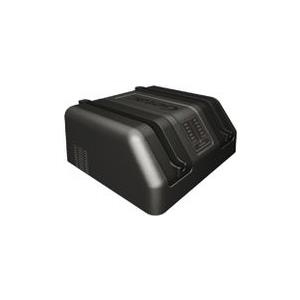 Купить Getac Dual bay - Batterieladegerät - output connectors: 2 - für Getac F110 (GCMCE7) в магазине wardena.ru