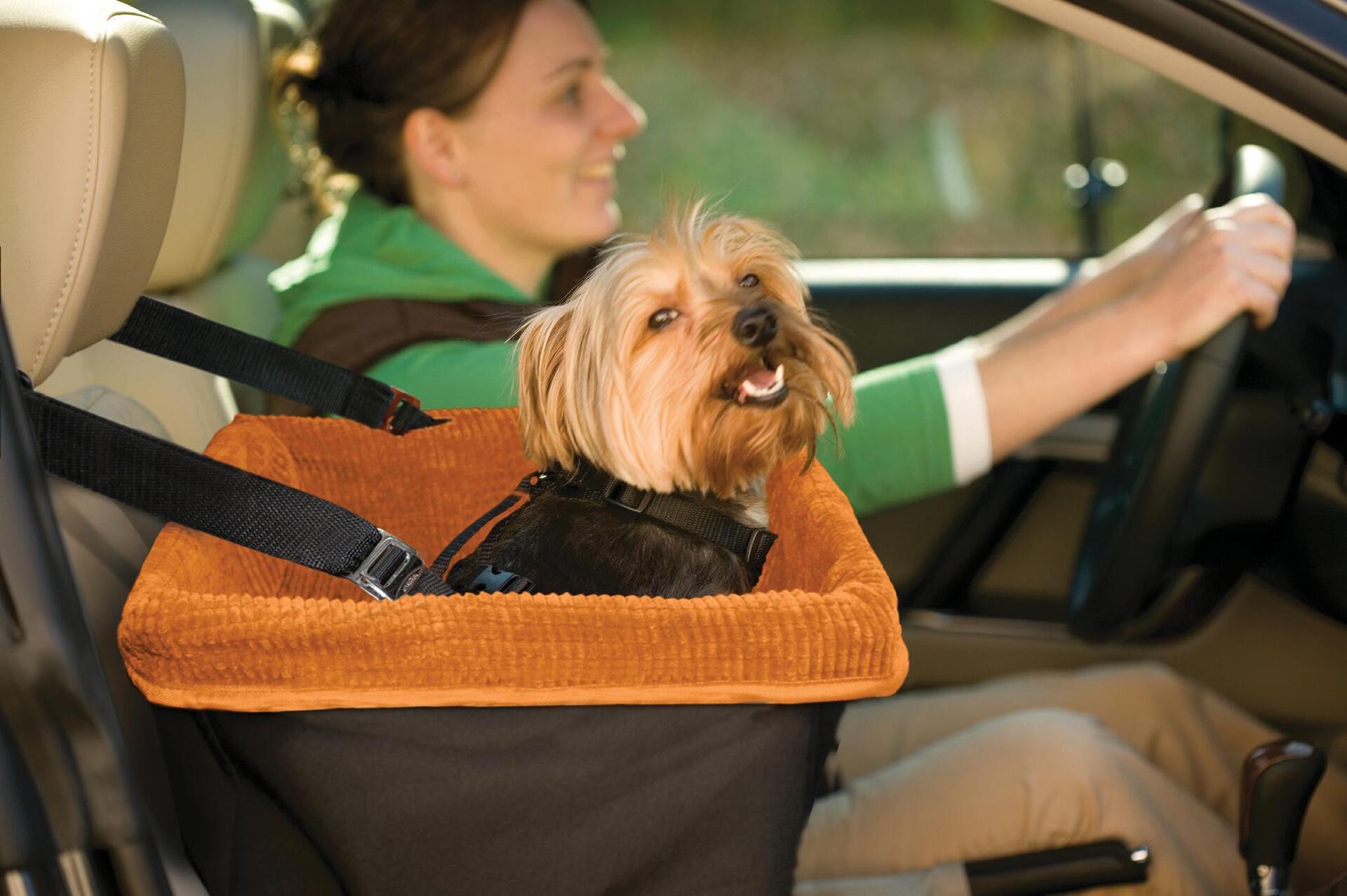 Купить Kurgo Skybox Hundeautositz Schwarz, Orange 1 St. (K00044) в магазине wardena.ru