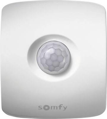 Купить Somfy Movement Detector io - Bewegungssensor - kabellos - io-homecontrol - 868.42 MHz (2401361) в магазине wardena.ru