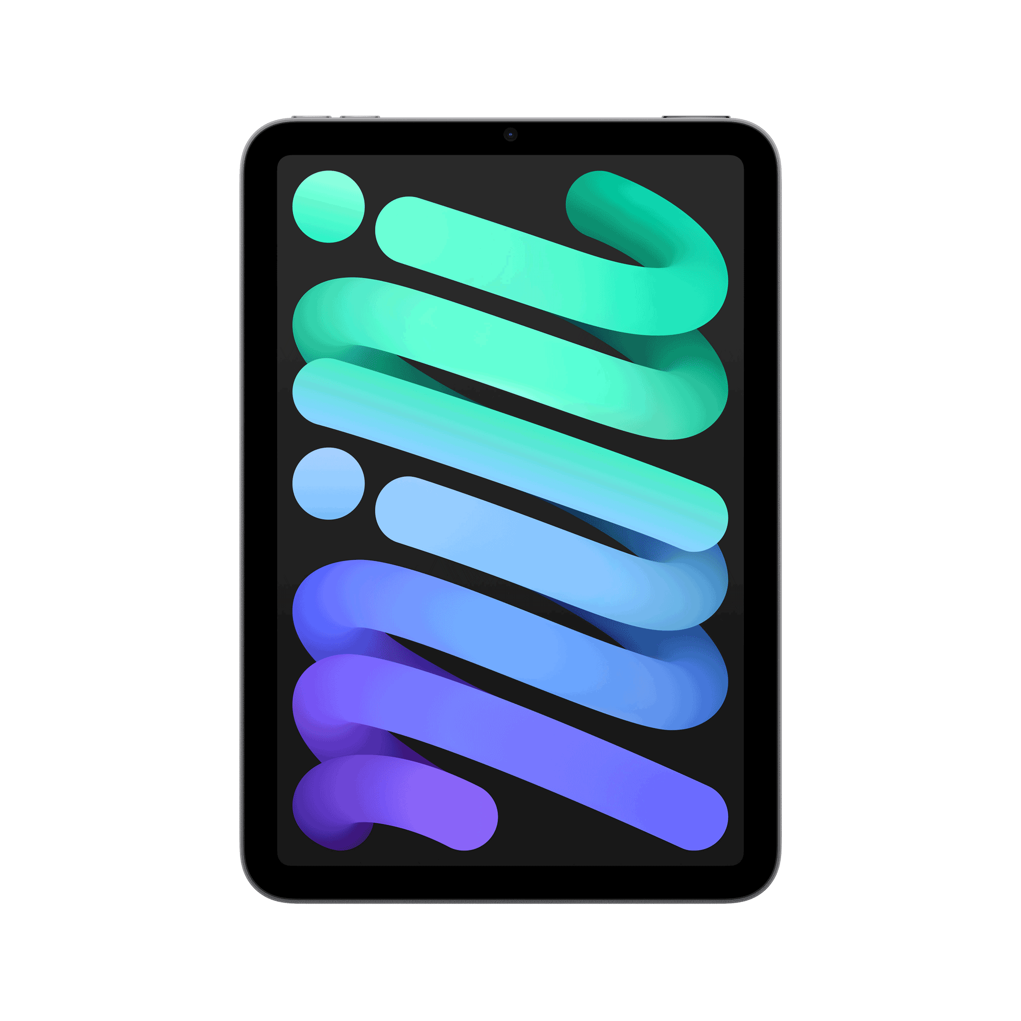 Купить Apple iPad mini 8.3 Wi-Fi 128GB (spacegrau) (MXN63NF/A) в магазине wardena.ru