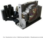 Купить CoreParts - Projektorlampe - 245 Watt - 1500 Stunde(n) - für Hitachi Collegiate Series CP-WX4022, CP-WX4021, WX4022, X4021, X4022, X5021, X5022 (DT01171) в магазине wardena.ru