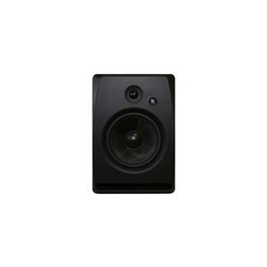 Купить Kramer Dolev 8 - Lautsprecher - 100 Watt - zweiweg - Schwarz (60-000074) в магазине wardena.ru