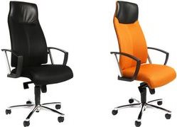 Купить Topstar Bürodrehstuhl "High Sit up", schwarz, inkl. feste Armlehnen A1, Maße: (B)480 x (T)460 x (H)440 - 520 mm (SU39A-BG0) в магазине wardena.ru