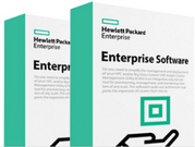 Купить HPE StoreEver Data Verification - Lizenz - 100 Kassetten - ESD - for HPE StoreEver MSL3040 Tape Library (Q8K43AAE) в магазине wardena.ru
