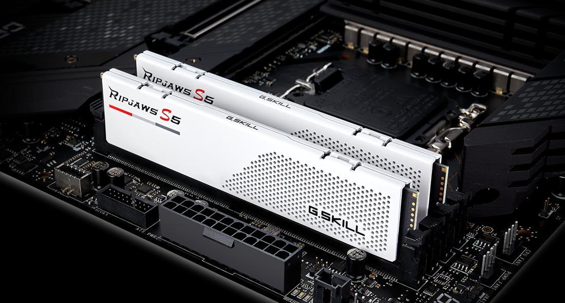 Купить G.Skill Ripjaws S5 - DDR5 - Kit - 64GB - DIMM 288-PIN Low Profile - 5600 MHz / PC5-44800 - CL28 - non-ECC - Mattes Weiß (F5-5600J2834F32GX2-RS5W) в магазине wardena.ru