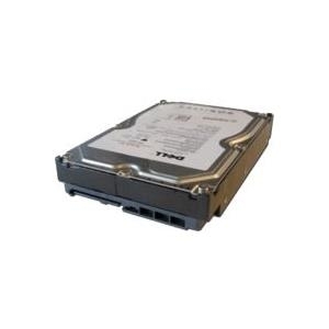 Купить Dell - Festplatte - 1 TB - intern - 3.5" (8.9 cm) - SAS - NL - 7200 U/min - für PowerEdge C6220, R220, R320, T110, T320, T420, T430, T630, VRTX, PowerEdge R430, R530 (FNW88) в магазине wardena.ru