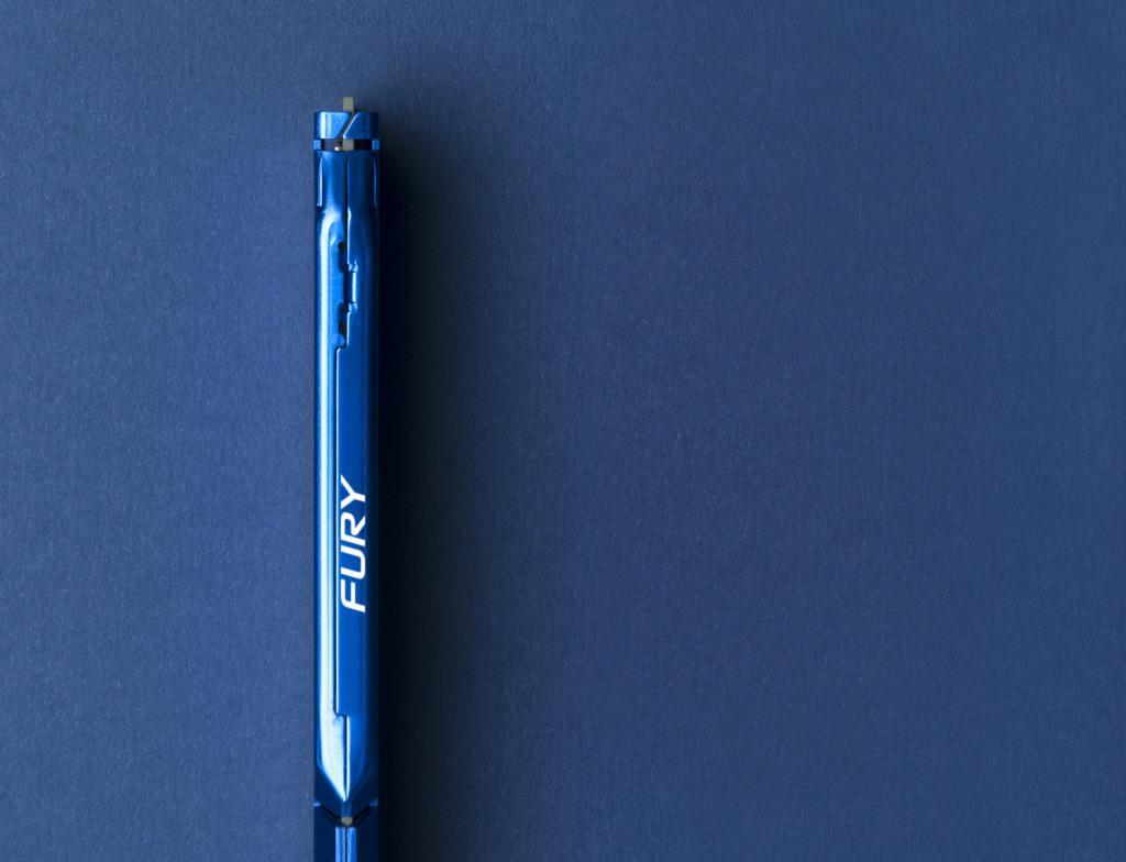 Купить Kingston Technology FURY Beast Speichermodul 8 GB 1 x 8 GB DDR3 1866 MHz (KF318C10B/8) в магазине wardena.ru