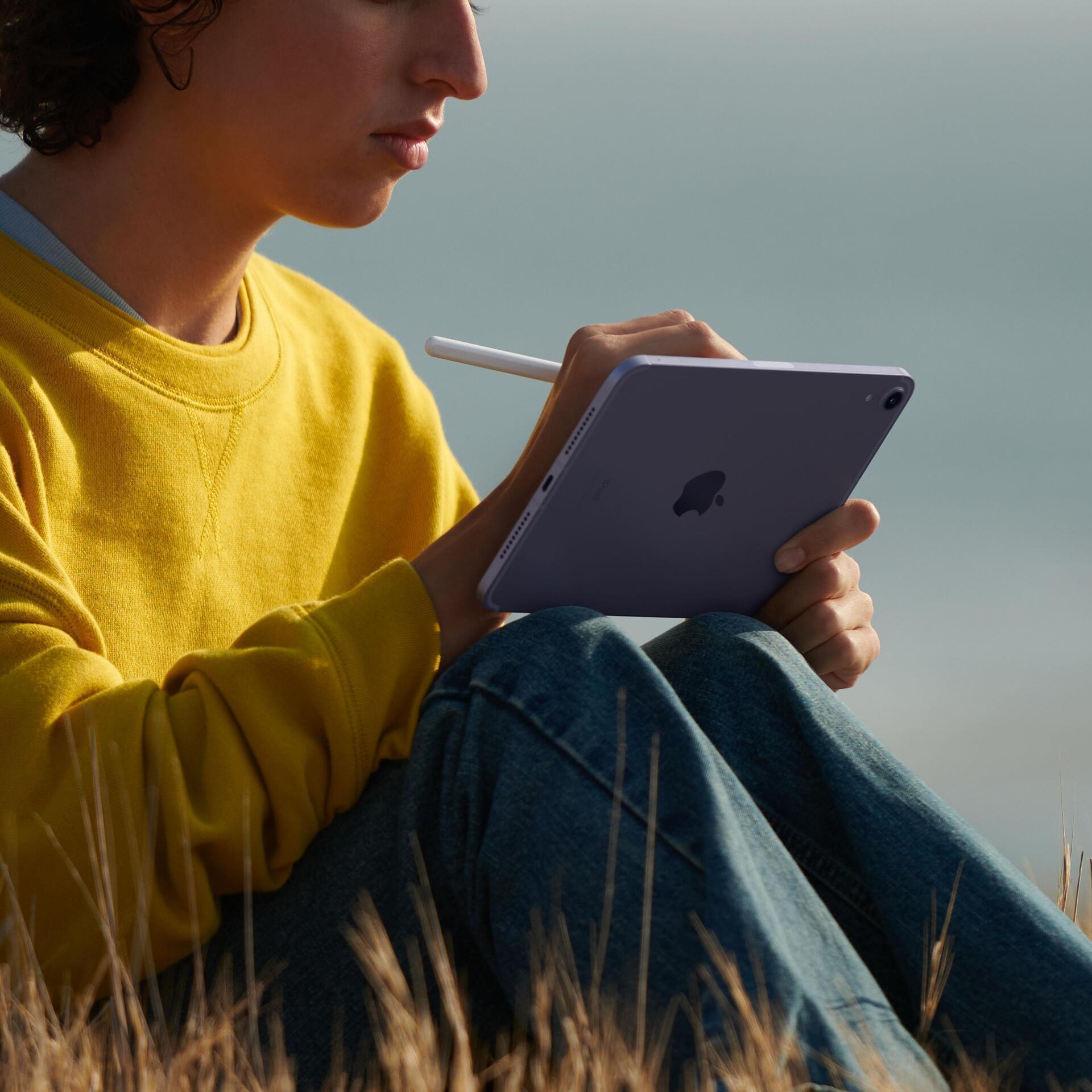 Купить Apple iPad mini Wi-Fi + Cellular - 6. Generation - Tablet - 256GB - 21,1 cm (8.3") IPS (2266 x 1488) - 3G, 4G, 5G - Space-grau (MK8F3FD/A) в магазине wardena.ru