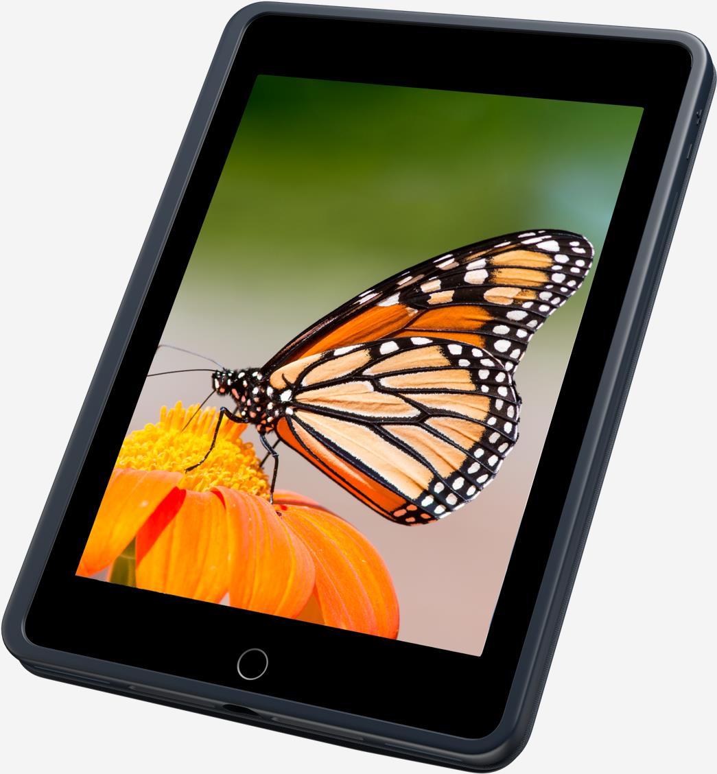 Купить Logitech Rugged Combo 3 - Tastatur und Foliohülle - Apple Smart connector - QWERTY - Spanisch - für Apple 10.2"  iPad (7. Generation, 8. Generation) (920-010103) в магазине wardena.ru