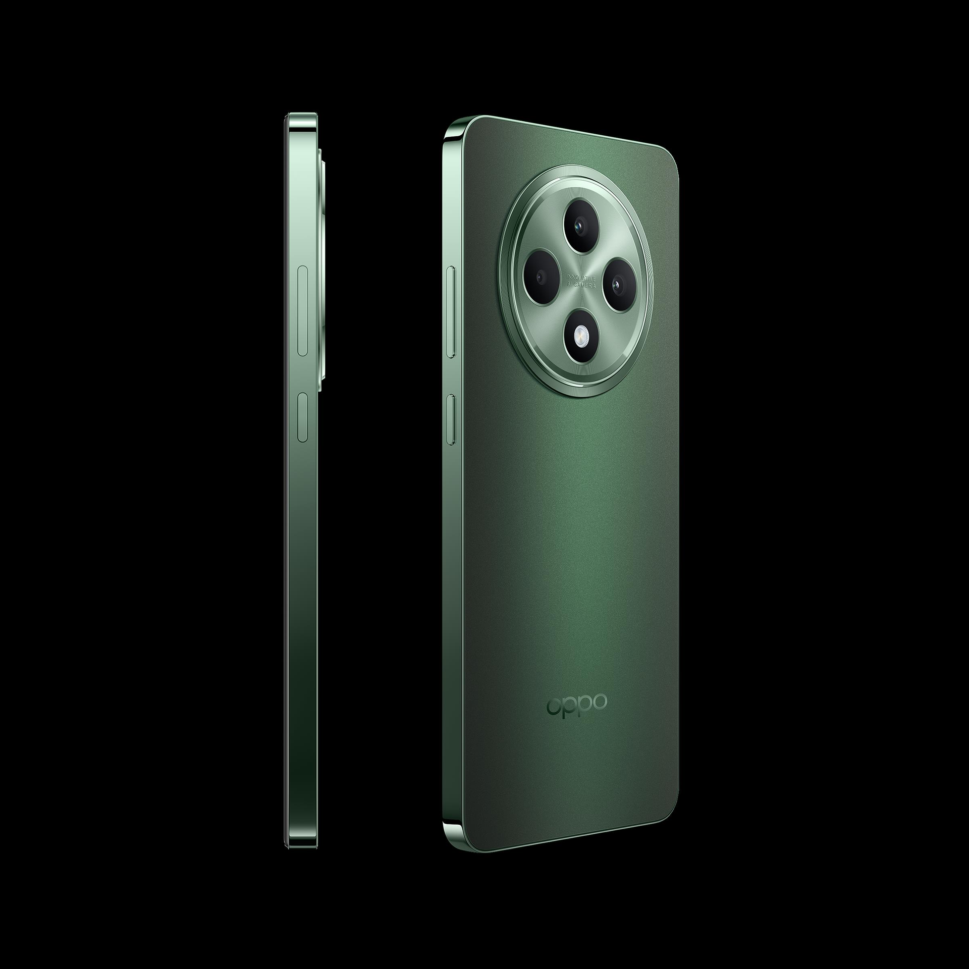 Купить OPPO Reno12 F 5G 16,9 cm (6.67") Dual-SIM Android 14 USB Typ-C 8 GB 256 GB 5000 mAh Grün (110010233413) в магазине wardena.ru
