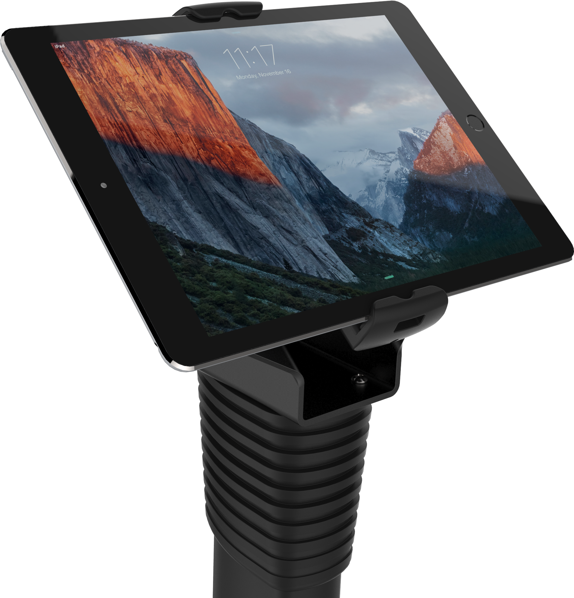 Купить Compulocks Cling Adjustable Universal Tablet Floor Stand - Aufstellung - für Tablett - verriegelbar - hochwertiges Aluminium - Schwarz - Bildschirmgröße: bis zu 33 cm (bis zu 33,00cm (13") ) - Bodenaufstellung (147BUCLGVWMB) в магазине wardena.ru