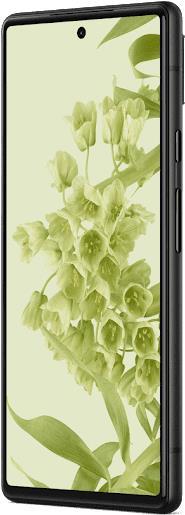 Купить Google Pixel 6 16,3 cm (6.4" ) Dual-SIM Android 12 5G USB Typ-C 8 GB 128 GB 4614 mAh Koralle (GA02920-GB) в магазине wardena.ru