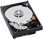 Купить IBM - Festplatte - 600 GB - Hot-Swap - 3.5" (8.9 cm) - SAS 6Gb/s - 15000 U/min - für System Storage DS3512, EXP3512 (49Y1866) в магазине wardena.ru