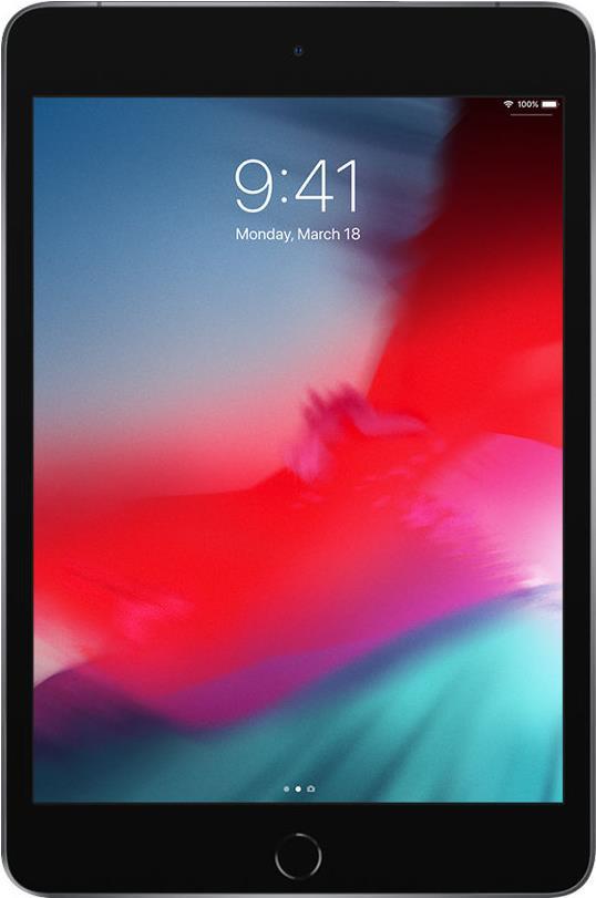 Купить Apple iPad mini 5 Wi-Fi + Cellular - 5. Generation - Tablet - 256 GB - 20.1 cm (7.9") IPS (2048 x 1536) - 3G, 4G - LTE - Space-grau (MUXC2FD/A) в магазине wardena.ru