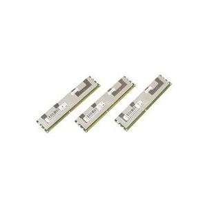 Купить CoreParts - DDR3 - Kit - 48 GB: 3 x 16 GB - DIMM 240-PIN - 1066 MHz / PC3-8500 - registriert - ECC - für Dell PowerEdge C1100, C2100, C6100, M610, M710, R510, T410, T710, Precision T5500, T7500 (MMD8787/48GB) в магазине wardena.ru