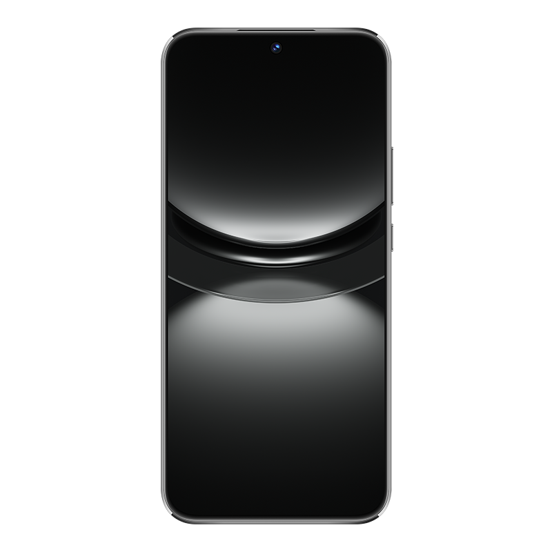 Купить Huawei nova 12s 17 cm (6.7") Dual-SIM Android 14 4G USB Typ-C 8 GB 256 GB 4500 mAh Schwarz (51097UGX) в магазине wardena.ru