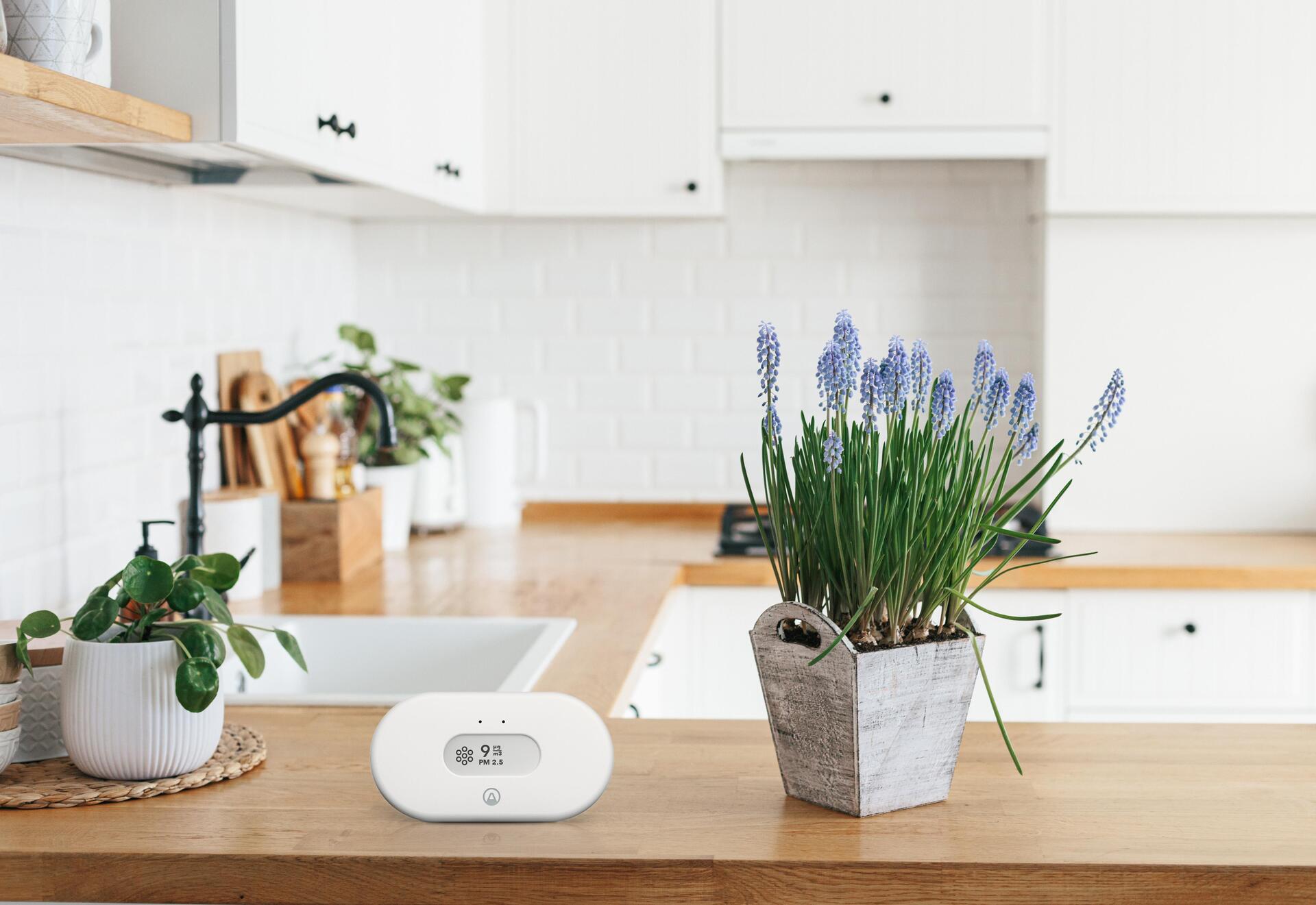 Купить Airthings View Pollution Monitor für Luftverschmutzung in Innenräumen (980) в магазине wardena.ru