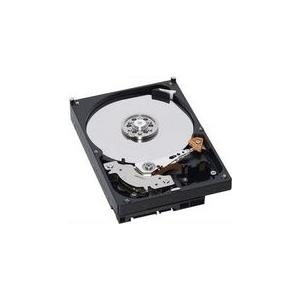 Купить IBM - Festplatte - 600 GB - Hot-Swap - 3.5" (8.9 cm) - SAS 6Gb/s - 15000 U/min - für System Storage DS3512, EXP3512 (49Y1866) в магазине wardena.ru