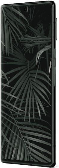 Купить Google Pixel 6 Pro - 5G Smartphone - Dual-SIM - RAM 12 GB / 256 GB - OLED-Display - 6.7" - 3120 x 1440 Pixel (120 Hz) - Triple-Kamera 50 MP, 48 MP, 12 MP - front camera 11.1 MP - stormy black (GA02258-GB) в магазине wardena.ru