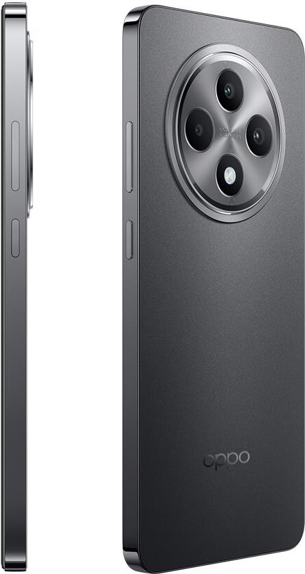 Купить OPPO Reno12 F 4G 16,9 cm (6.67") Dual-SIM Android 14 USB Typ-C 8 GB 256 GB 5000 mAh Grau в магазине wardena.ru