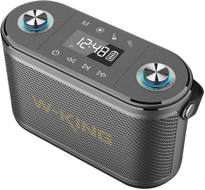 Купить W-KING H10 S 80W tragbarer Lautsprecher, Schwarz (H10 S black) в магазине wardena.ru
