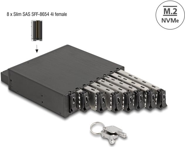 Купить Delock 5.25? Wechselrahmen für 8 x M.2 NVMe SSD mit Slim SAS SFF-8654 Anschluss (47129) в магазине wardena.ru