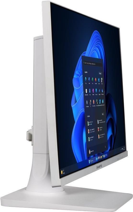 Купить bluechip BUSINESSline AIO2352c white - 60,5 cm (23.8") - Full HD - Intel® Core™ i5 - 16 GB - 250 GB - Windows 11 Pro (556435) в магазине wardena.ru