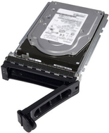 Купить Dell - Kunden-Kit - Festplatte - 2.4 TB - Hot-Swap - 2.5" (6.4 cm) - SAS 12Gb/s - 10000 U/min - für PowerEdge R320, R420, R820, R920, T320, T420, PowerVault MD3220, MD3420, PowerEdge R930 (400-AVBX) в магазине wardena.ru