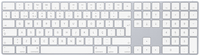 Купить Apple Magic Keyboard mit Ziffernblock - Tastatur - Bluetooth - QWERTY - Portugiesisch - Silber - für 10.2" iPad; 10.5" iPad Air; 10.9" iPad Air; iPad mini 5; iPhone 11, 12, 13, SE (MQ052PO/A) в магазине wardena.ru
