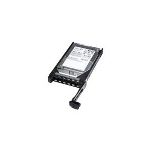 Купить Dell Nearline - Festplatte - 2 TB - 3.5" (8.9 cm) - SAS - 7200 U/min - für PowerEdge C2100 (400-20560) в магазине wardena.ru