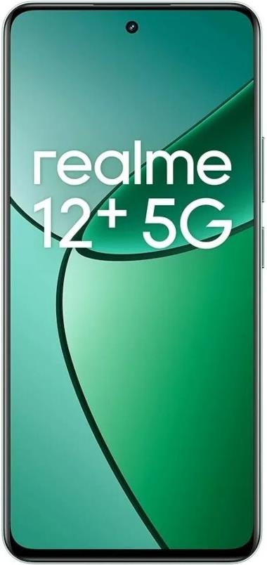Купить Realme Smartfon 12+ 8/256GB Pioneer Green (RMX3867 Green) в магазине wardena.ru