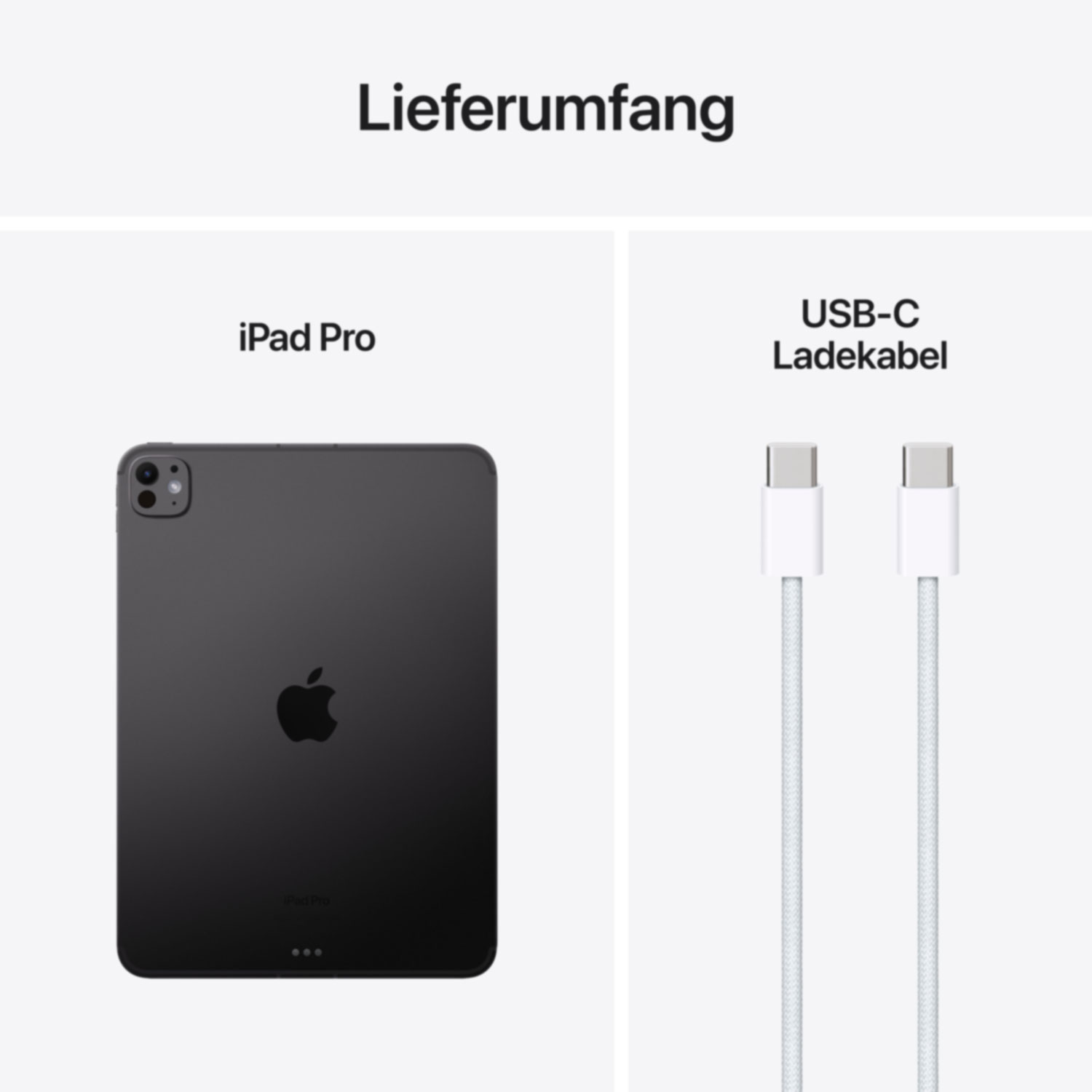 Купить Apple iPad Pro 5G Apple M TD-LTE & FDD-LTE 256 GB 27,9 cm (11") 8 GB Wi-Fi 6E (802.11ax) iPadOS 17 Schwarz (MVW13NF/A) в магазине wardena.ru