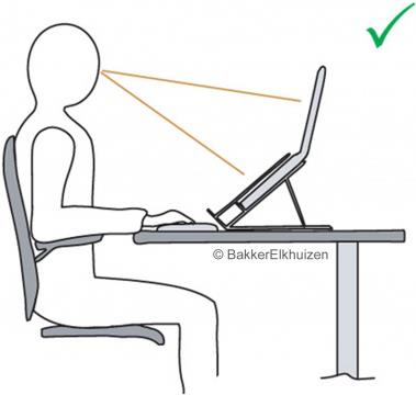 Купить Bakker Elkhuizen Ergo-Q 330 - Notebook-Ständer mit Dokumentenhalter (BNEQ330) в магазине wardena.ru