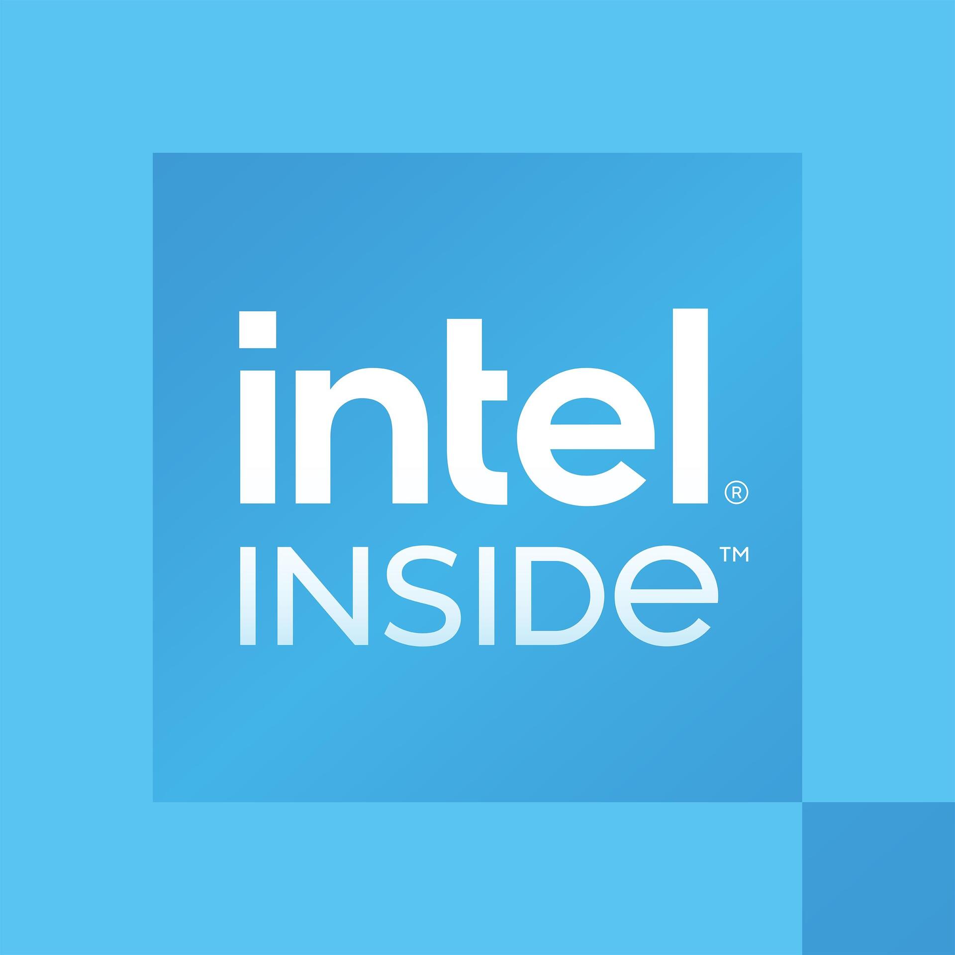 Купить Intel 300 - Intel Processor 300 - LGA 1700 - Intel - 64-Bit - 3,9 GHz - 6 MB (CM8071505091904) в магазине wardena.ru