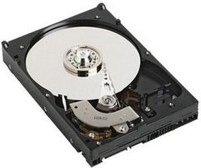 Купить DELL 67JWV Interne Festplatte 3.5"  500 GB Serial ATA II (67JWV) в магазине wardena.ru