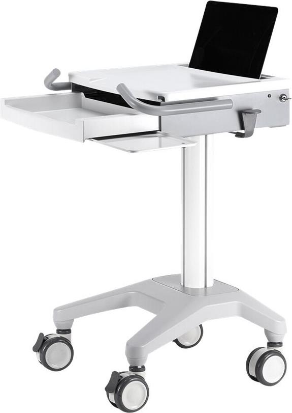 Купить Neomounts by Newstar Medical Mobile Stand for Laptop, keyboard & mouse, Height Adjustable - White - Wagen für Notebook/Tastatur/Maus - medizinisch - weiß - Bildschirmgröße: 25.4-43.2 cm (10"-17") (MED-M200) в магазине wardena.ru