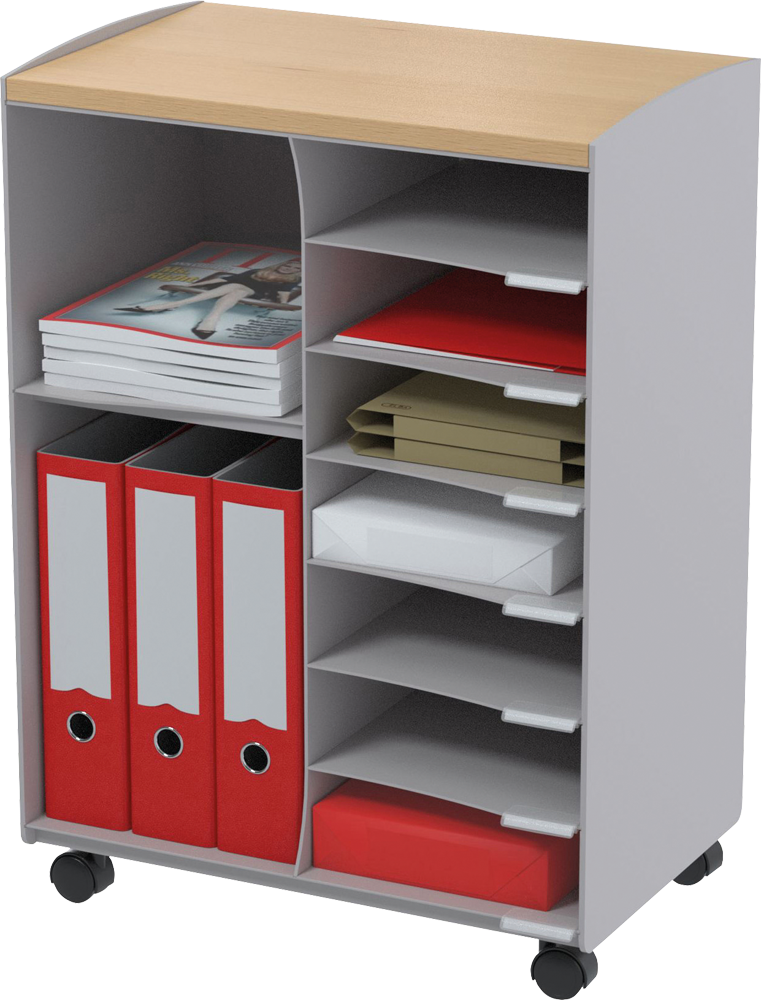 Купить PAPERFLOW Rollwagen DC09N.02.23 (DC09N.02.23) в магазине wardena.ru