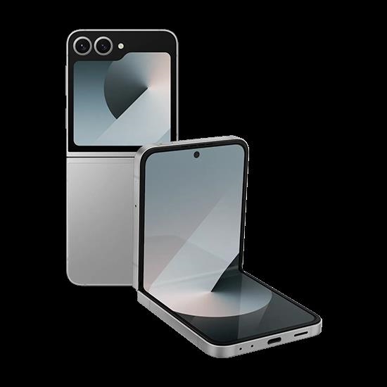 Купить Samsung Galaxy Z Flip6 F741B 5G Dual Sim 12GB RAM 256GB Enterprise Edition - Silver Shadow (SM-F741BZSGEEB) в магазине wardena.ru