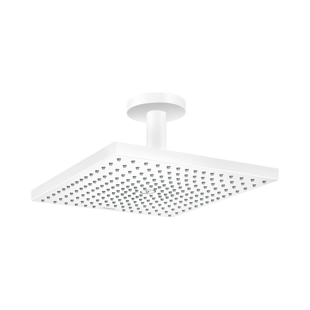 Купить Hansgrohe Raindance E Верхний душ 300 1jet с потолочным подсоединением черный матовый 26250670 в магазине wardena.ru