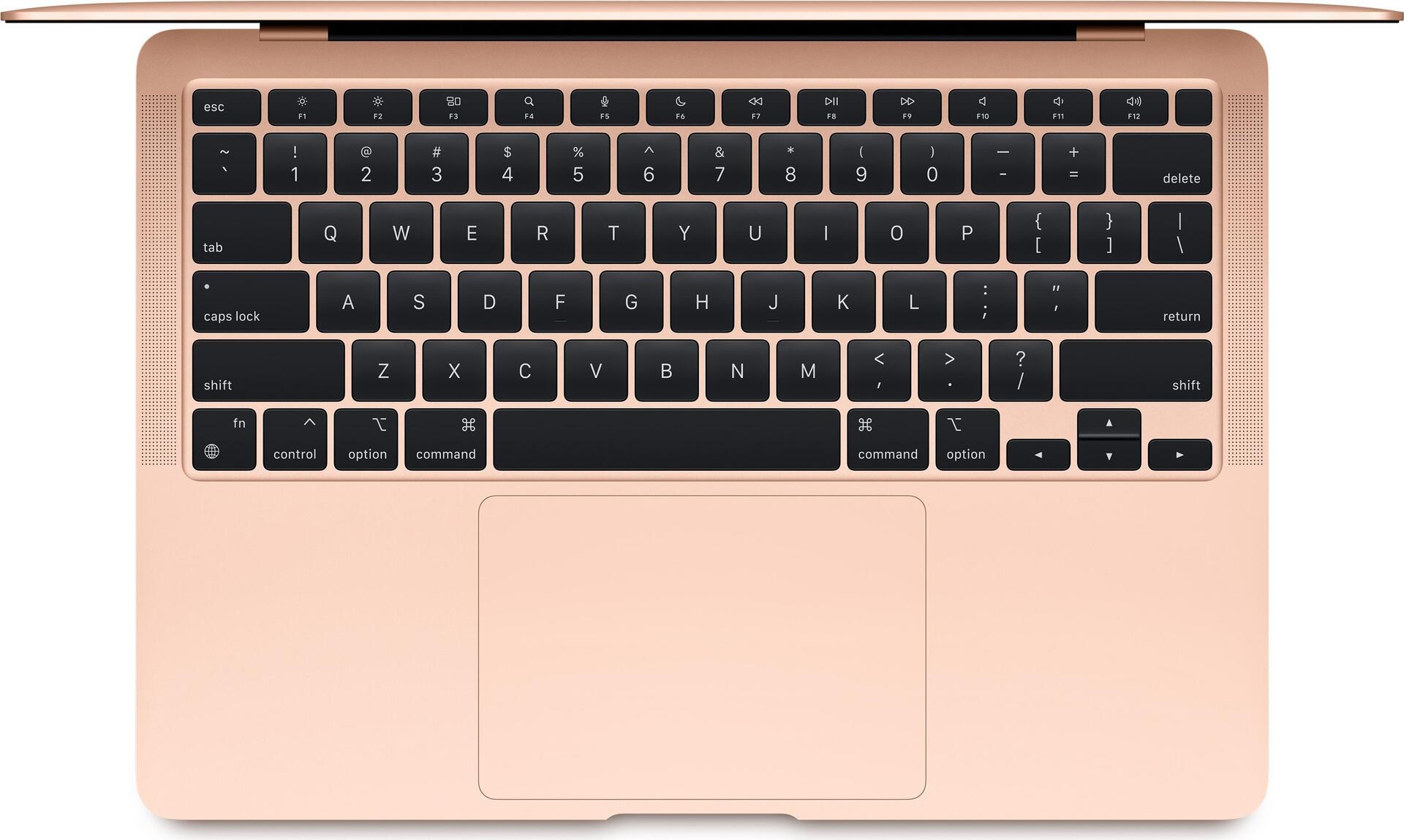 Купить Apple MacBook Air Notebook 33,8 cm (13.3" ) Apple M 16 GB 256 GB SSD Wi-Fi 6 (802.11ax) macOS Big Sur Gold (Z12A_5004_DE_CTO) в магазине wardena.ru