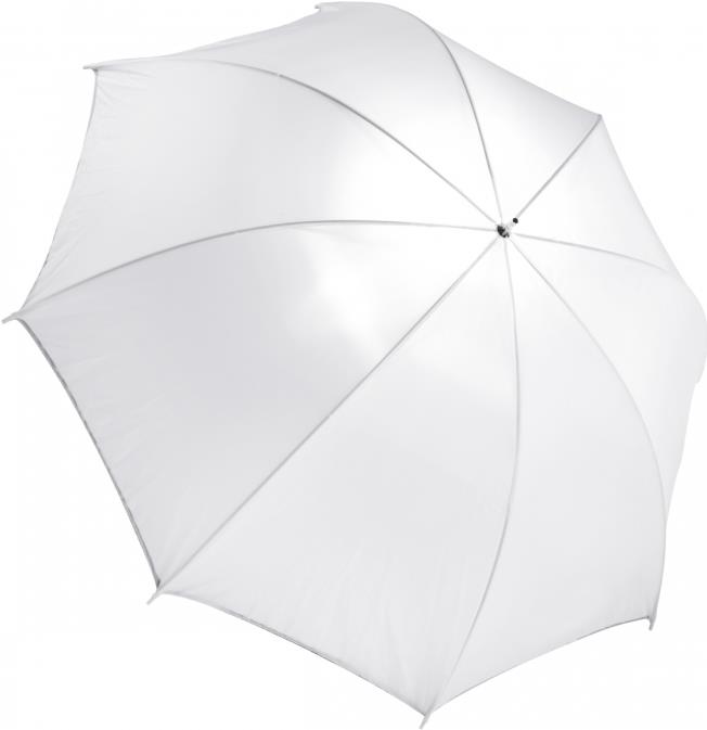 Купить mantona Walimex Pro Newcomer Studioset Mini 100 - Studioblitz - 1 Köpfe x 1 Lampe - 100 Ws - AC (21318) в магазине wardena.ru