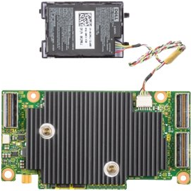 Купить Dell PERC H755N Front - Speichercontroller (RAID) - RAID 0, 1, 5, 6, 10, 50, 60 - PCIe 4.0 (405-AAXN) в магазине wardena.ru