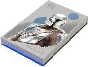 Купить Seagate FireCuda - Star Wars The Mandalorian Special Edition - Festplatte - 2 TB - extern (tragbar) - USB 3.2 Gen 1 - mit 3 Jahre Seagate Rescue Datenwiederherstellung (STKL2000405) в магазине wardena.ru