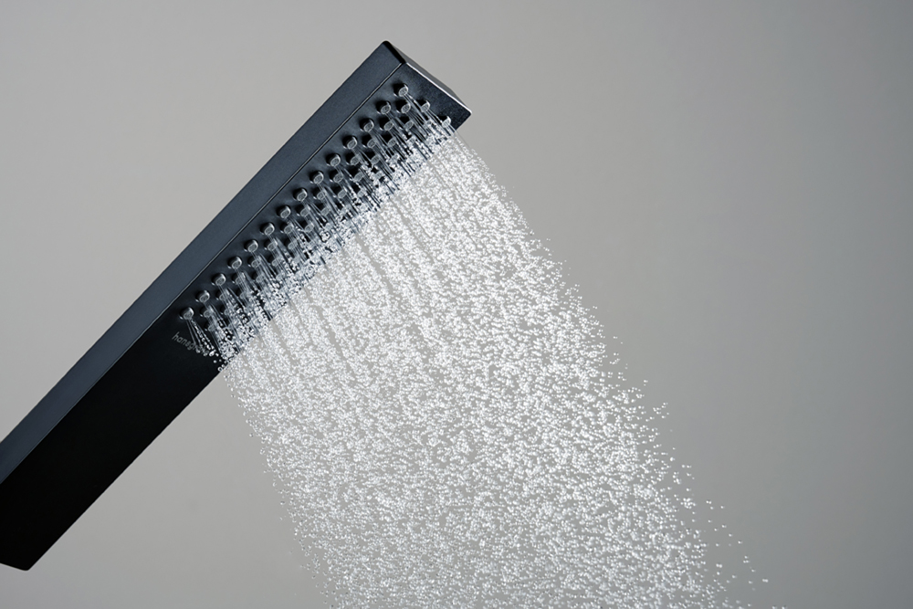 Купить Hansgrohe Pulsify E Ручной душ 1jet Green черный матовый 24321670 в магазине wardena.ru