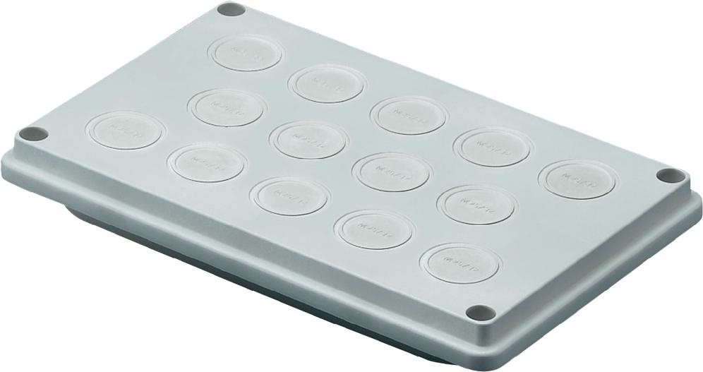 Купить Rittal SV - Kabeleingang Durchführungsplattenmodul (9665.770) в магазине wardena.ru