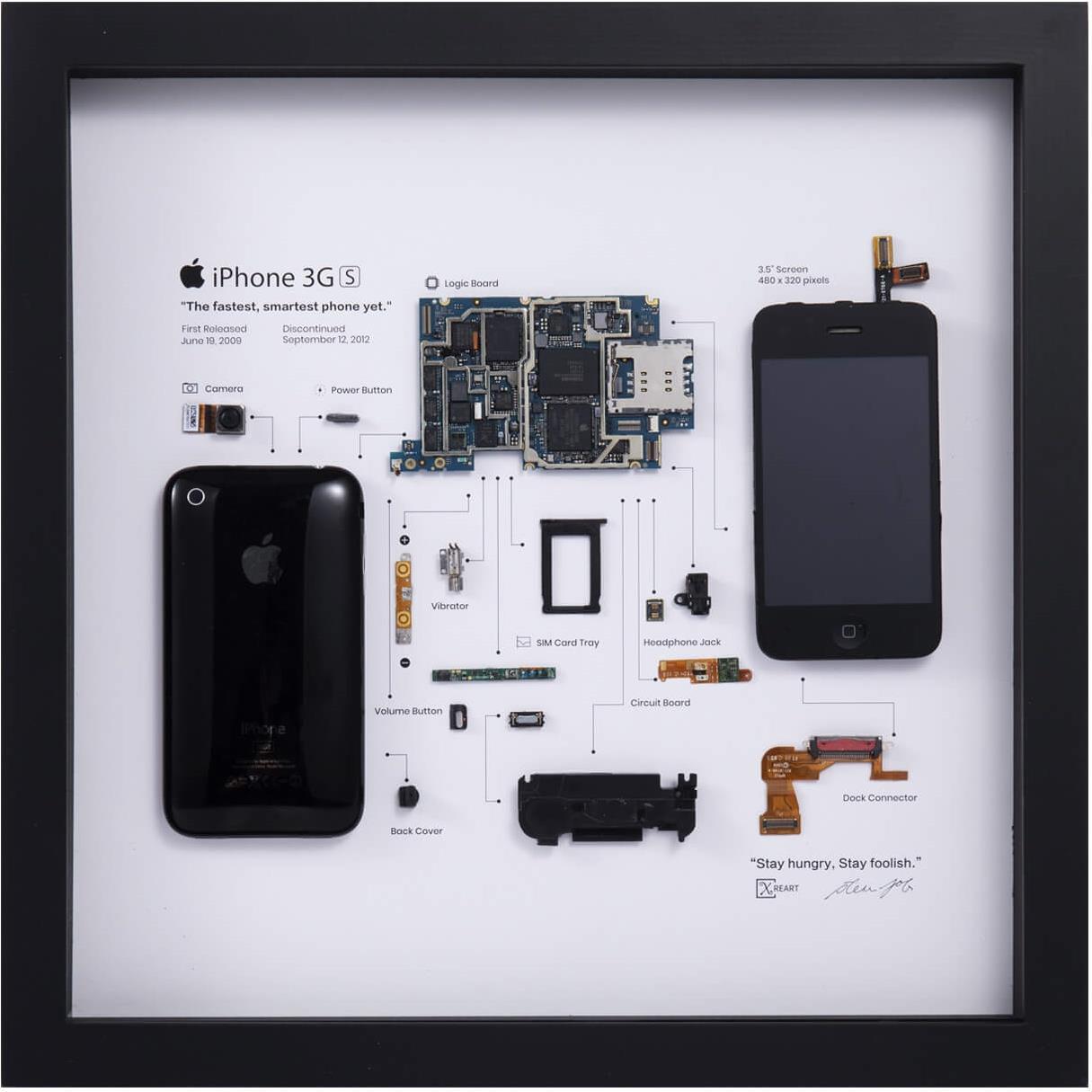 Купить Xreart Zerlegtes iPhone im Bilderrahmen | Apple iPhone 3GS | HKIP3GS (HKIP3GS) в магазине wardena.ru