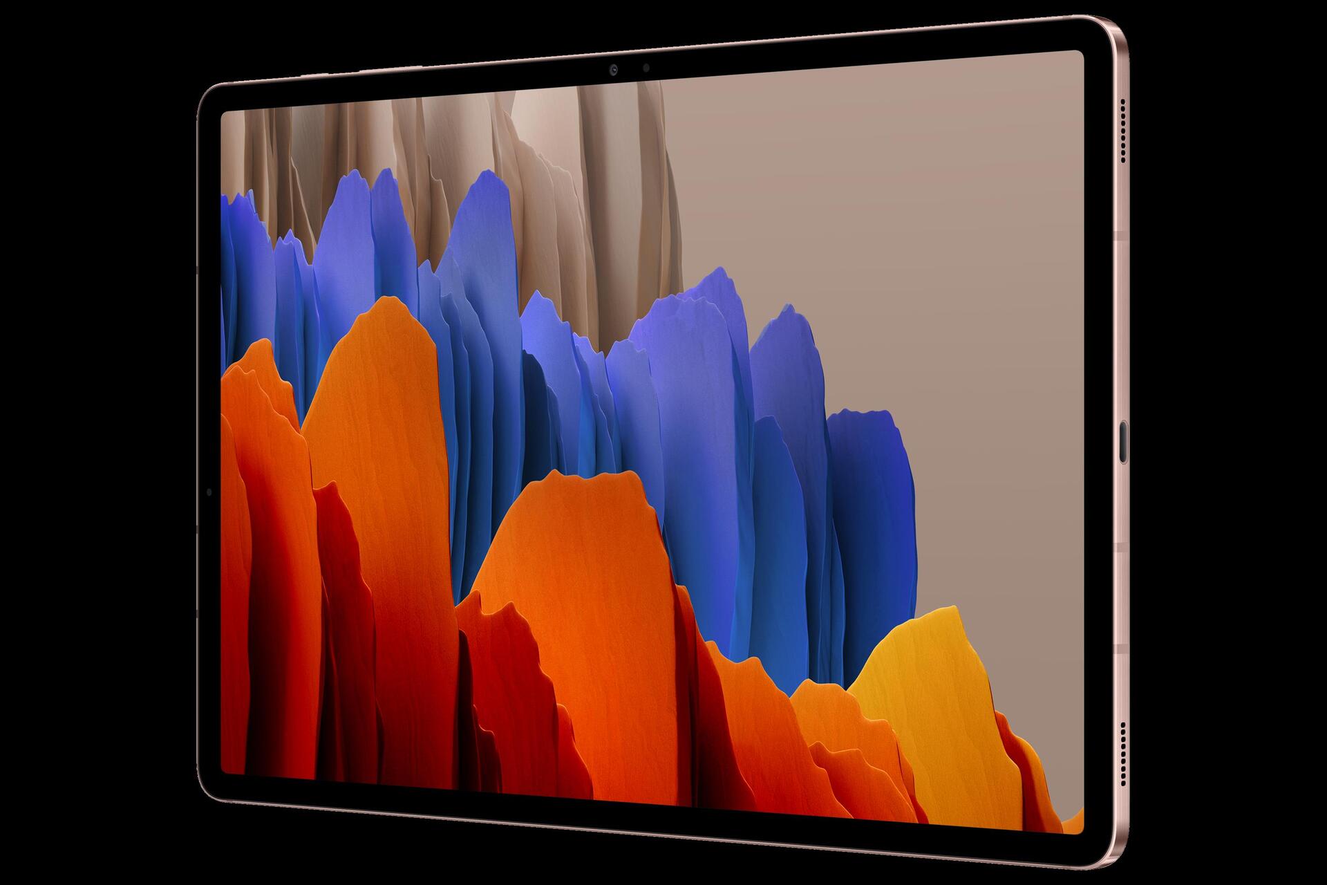 Купить Samsung Galaxy Tab S7+ - Tablet - Android - 256 GB - 31.5 cm (12.4") Super AMOLED (2800 x 1752) - microSD-Steckplatz - Mystic Bronze (SM-T970NZNEEUB) в магазине wardena.ru